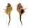 MURICIDAE MUREX TRAPA shell