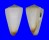 CONIDAE CONUS NIELSENAE REDUCTASPIRALIS shell