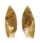 OLIVIDAE OLIVELLA DEFIOREI shell