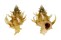 CORALLIOPHILIDAE BABELOMUREX PRINCEPS shell