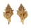 MURICIDAE TYPHINA YATESI shell