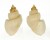 CANCELLARIIDAE CANCELLARIA FOVEOLATA shell