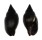 MITRIDAE ZIERLIANA OLEACEA shell
