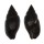 MITRIDAE ZIERLIANA OLEACEA shell