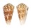 CONIDAE CONUS SULCOCASTANEUS shell