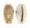 CYPRAEIDAE EROSARIA EROSA LACTESCENS shell