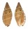 VOLUTIDAE LYRIA PAULJOHNSONI shell
