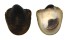 NERITIDAE NERIPTERON TAITENSIS shell