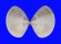 VENERIDAE MERETRIX LUSORIA shell