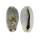 CYPRAEIDAE ERRONEA CYLINDRICA SOWERBYANA shell