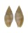 MITRIDAE MITRA SOLIDA shell