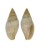 MITRIDAE MITRA SOLIDA shell