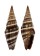 MITRIDAE VEXILLUM INTERMEDIUM shell
