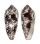 CONIDAE CONUS EPISCOPATUS shell