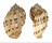 HARPIDAE HARPA ARTICULARIS shell