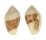 MARGINELLIDAE MARGINELLA ALBOCINCTA shell