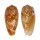 CONIDAE CONUS BULLATUS shell