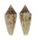 CONIDAE CONUS XIMENES MAHOGANI shell
