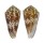 CONIDAE CONUS SULCOCASTANEUS shell