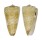 CONIDAE CONUS NOBILIS VICTOR shell