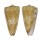 CONIDAE CONUS NOBILIS VICTOR shell