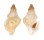RANELLIDAE SASSIA SUBDISTORTA shell
