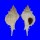 MURICIDAE SIRATUS CIBONEY shell