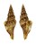 TURRIDAE GLYPHOSTOMA DEDONDERI shell