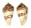 CONIDAE CONUS cf. MERCATOR shell