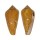 CONIDAE CONUS CROCATUS shell