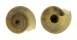 ARCHITECTONICIDAE HELIACUS FALLACIOSUS shell
