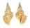 CANCELLARIIDAE CANCELLARIA LYRATA shell