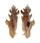 MURICIDAE PTERYNOTUS ELONGATUS shell