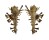 MURICIDAE HOMALOCANTHA VICDANI shell