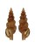 TURRIDAE TRITONOTURRIS AMABILE shell