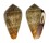 CONIDAE CONUS HYBRIDUS shell