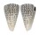 CONIDAE CONUS LEOPARDUS shell