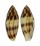 CONIDAE CONUS MITRATUS shell
