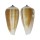 CONIDAE CONUS RADIATUS shell