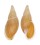 LANDSNAIL PLACOSTYLUS STRANGEI shell