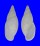 LANDSNAIL PLACOSTYLUS SELLERSI shell