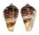 CONIDAE CONUS RETICULATUS shell