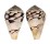 CONIDAE CONUS RETICULATUS shell
