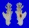 MURICIDAE PTERYNOTUS ELONGATUS shell