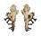 MURICIDAE HOMALOCANTHA NINAE shell