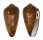 CONIDAE CONUS PENNACEUS VEZOI shell