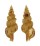 TURRIDAE TRITONOTURRIS AMABILE shell