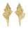 BUCCINIDAE SERRATIFUSUS LINEATUS shell