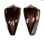 CONIDAE CONUS BRUNNEUS shell