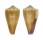 CONIDAE CONUS SANGUINOLENTUS shell